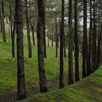 کلید سازی شبانه روزی سوهانک